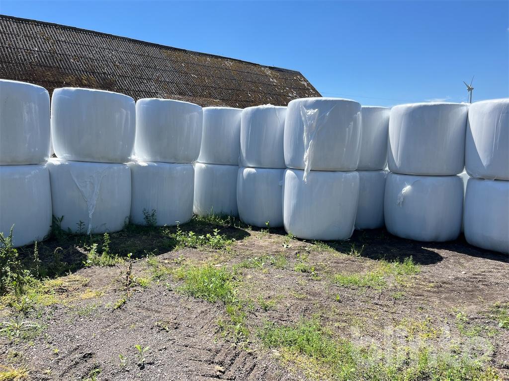 Ensilagebalar - Hö/ Ensilage | Blinto auktioner