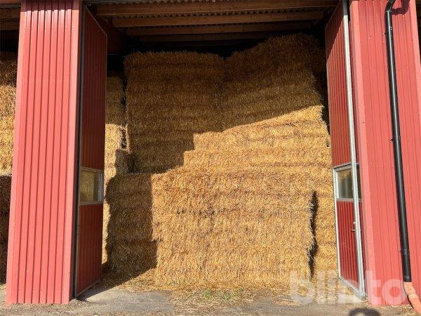 Halm Havre 56 styck