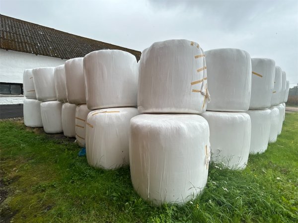 Helsädesensilage Balar