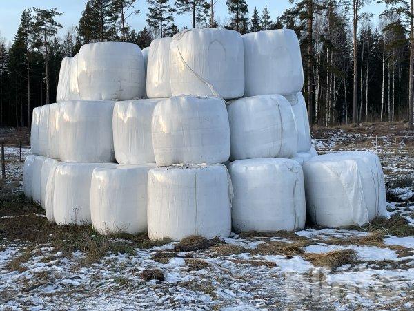 Torrhö Rundbalar 10 stycken